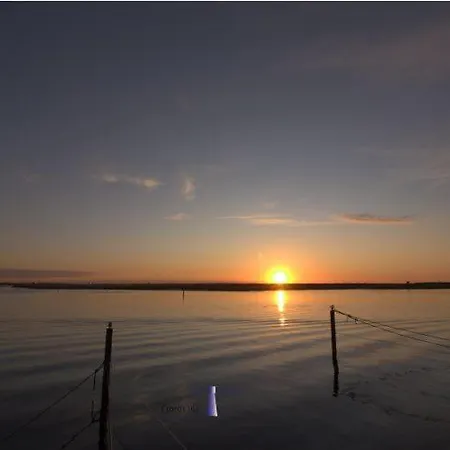 Hausboot Fjord Cumulus Solarboot Mit Biosauna In * Wendtorf